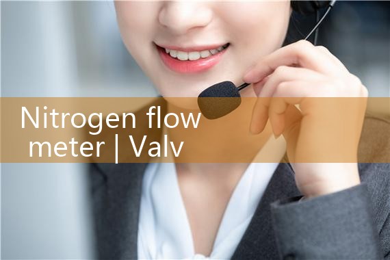 nitrogen flow meter|flow meter distributor