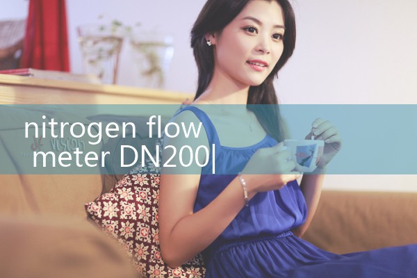 nitrogen flow meter DN200|flow meter distributor