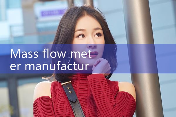 mass flow meter manufacturer|rotameter flow meter