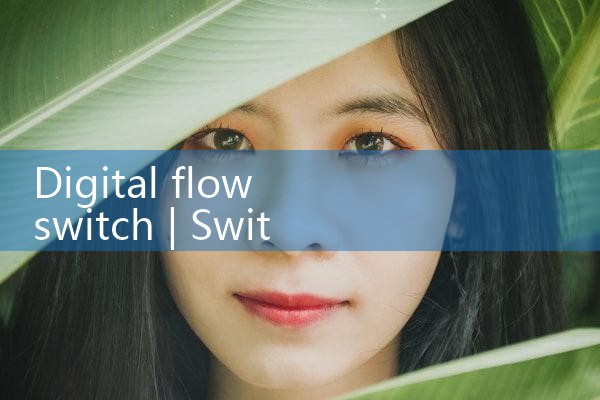 digital flow switch|mass flow meter