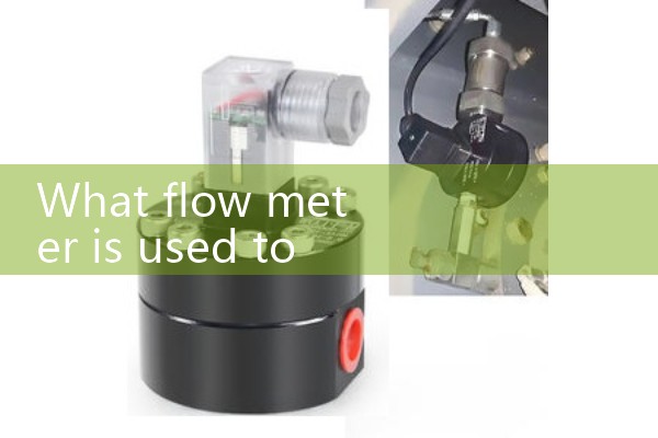 Flow meter for measuring steam flow rate