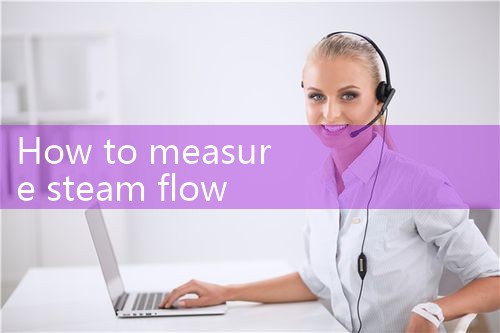 how to measure steam flow|balo meter