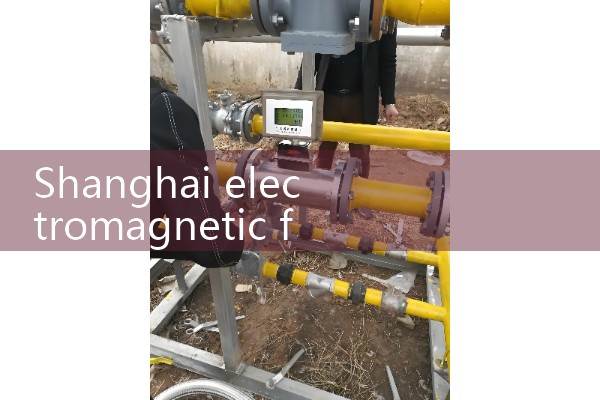 Binzhou anti-corrosion quality flowmeter