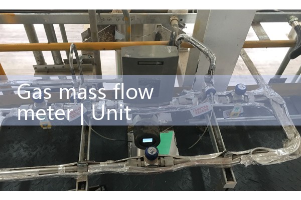 Gas mass flowmeter