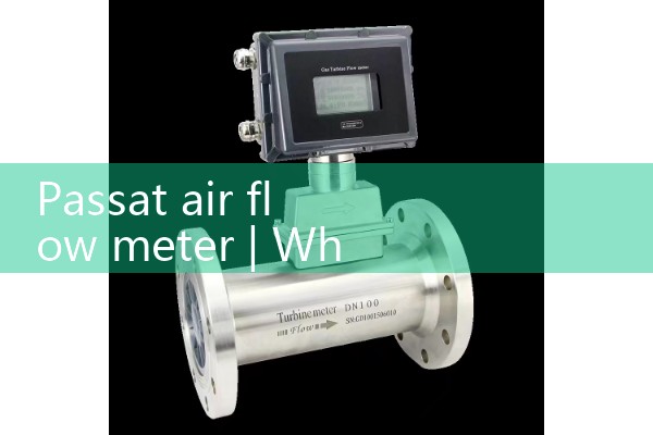 Passat air flow meter