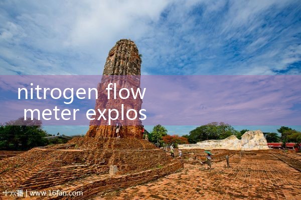 nitrogen flow meter explosion proof|flow meter distributor