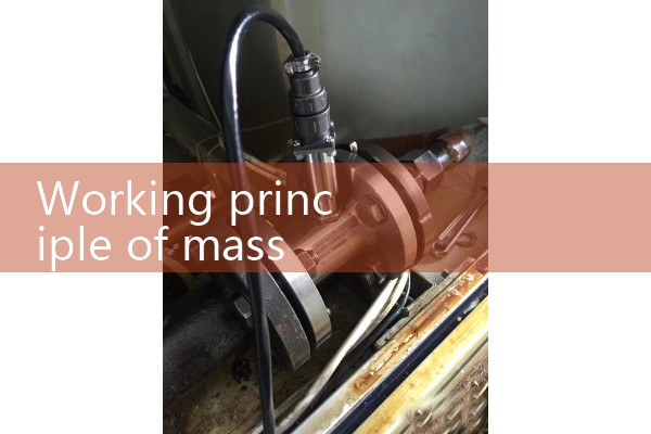 Working principle of mass flowmeter