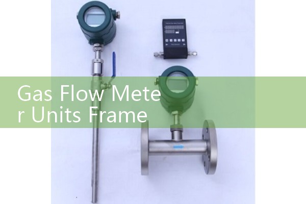 Dual vortex flowmeter