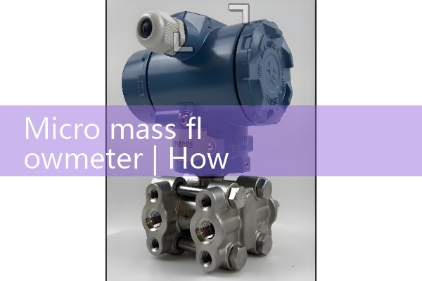 Micro mass flowmeter