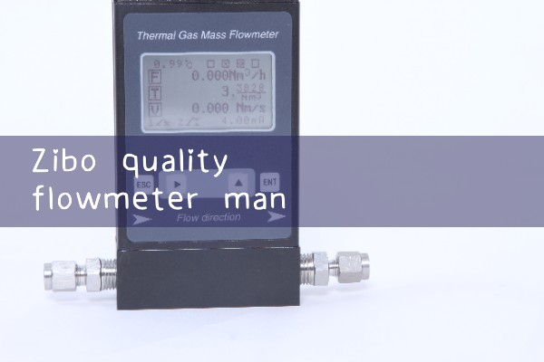 Zibo Quality Flow Meter Manufacturer