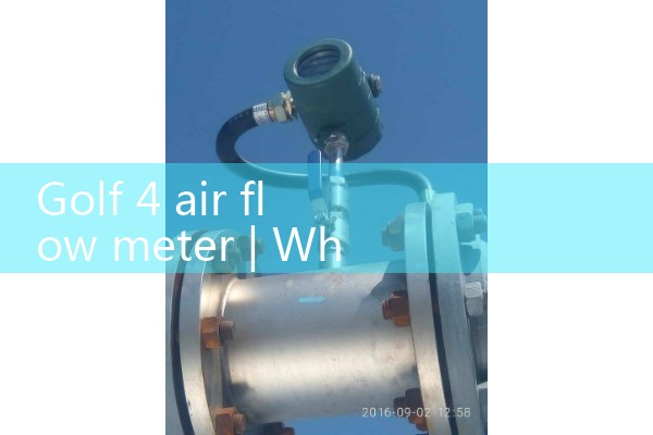 MKS Mass Flow Meter