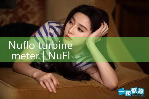 nuflo turbine meter|mass flow meter