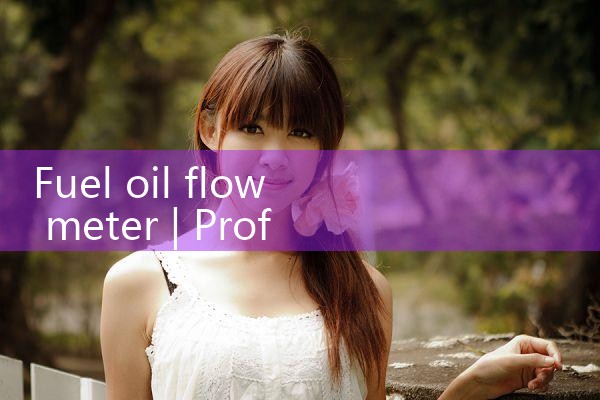fuel oil flow meter|rotameter flow meter