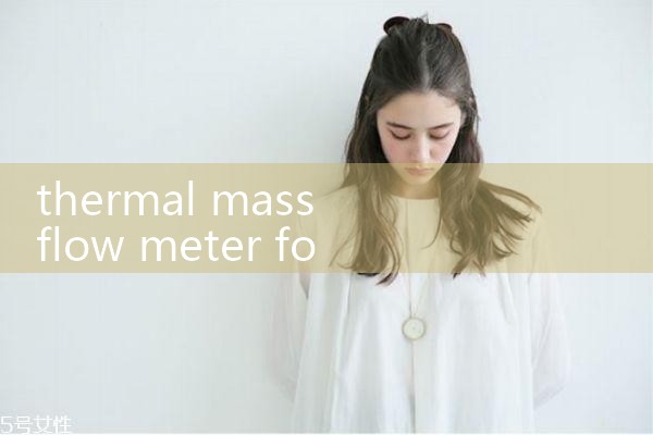 thermal mass flow meter for nitrogen|flow meter distributor