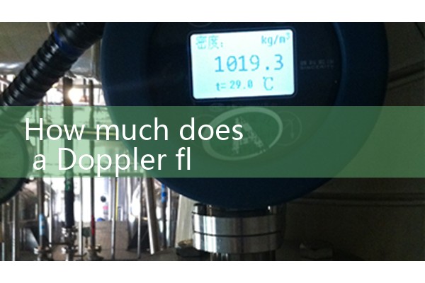 How much does a Doppler flowmeter cost