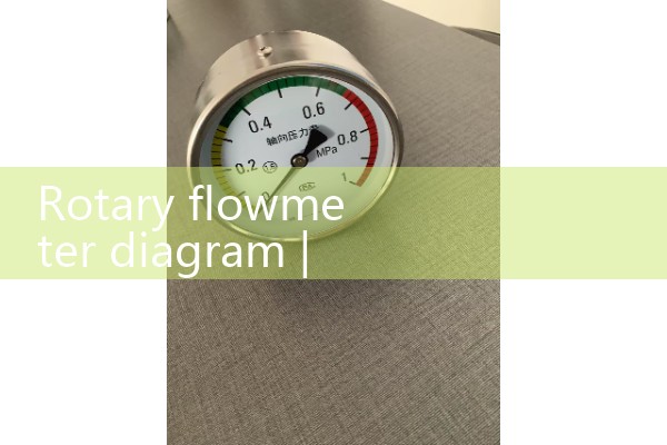 Rotary flowmeter diagram