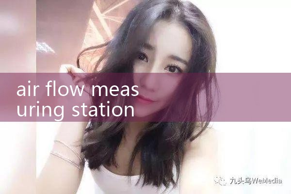air flow measuring station|balo meter