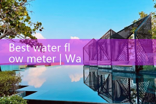 best water flow meter|rotameter flow meter