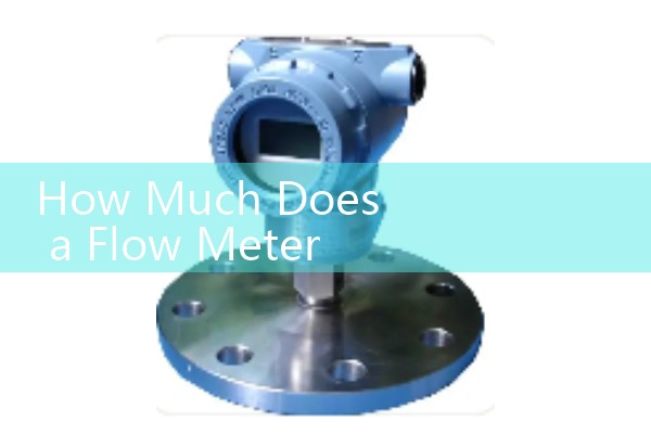 How Much Does a Flow Meter Cost: Industrial Brand Sourcing Price Comparison