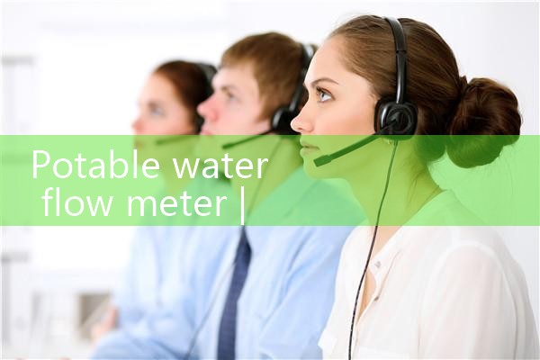 potable water flow meter|rotameter flow meter
