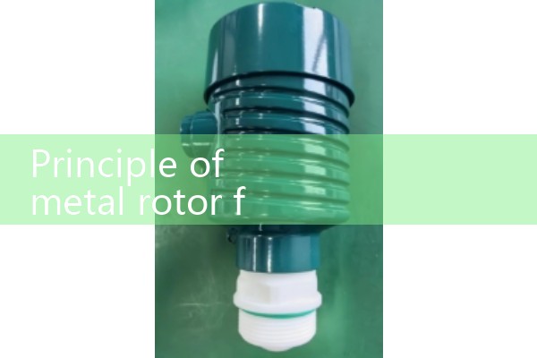 Principle of metal rotor flowmeter