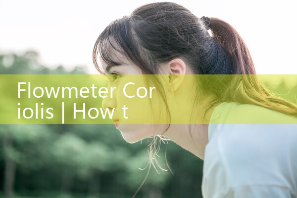 flowmeter coriolis|gas flow meter