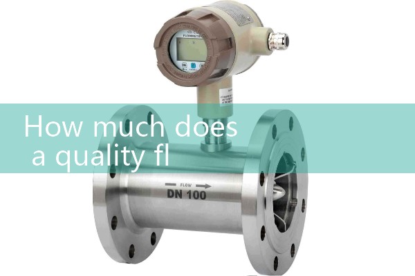 Purchase of flowmeter