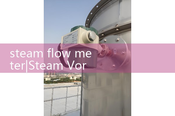 steam flow meter|orifice meter