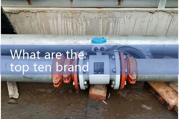 Professional vortex flowmeter manufacturer