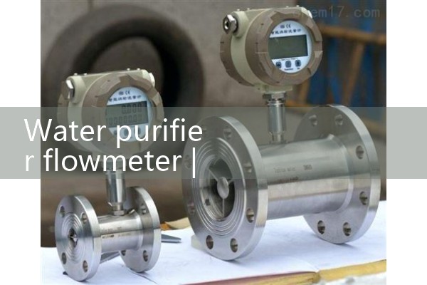 Water purifier flowmeter
