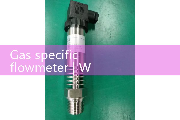 Gas specific flowmeter