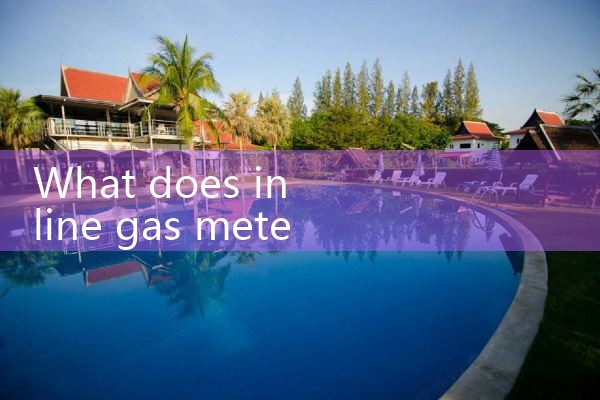 in line gas meter|rotameter flow meter