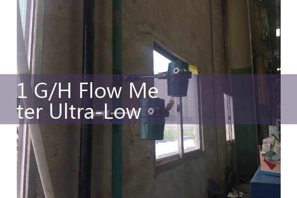 1 G/H Flow Meter Ultra-Low Flow Signal Processing