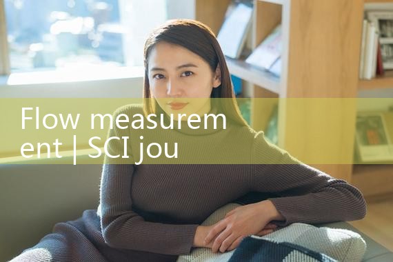 flow measurement|rotameter flow meter