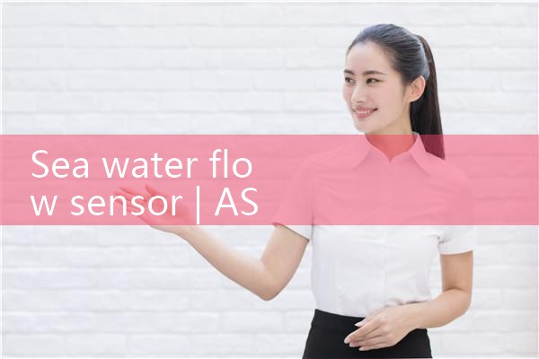 sea water flow sensor|rotameter flow meter