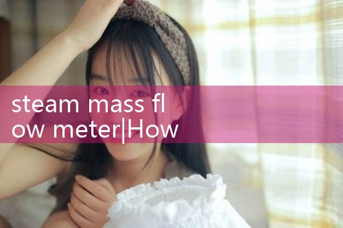 steam mass flow meter|balo meter