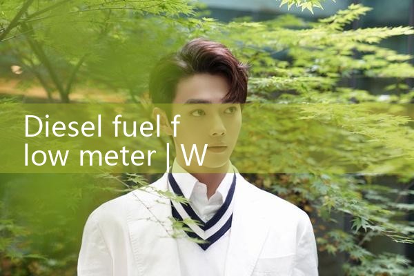 diesel fuel flow meter|digital flow meter