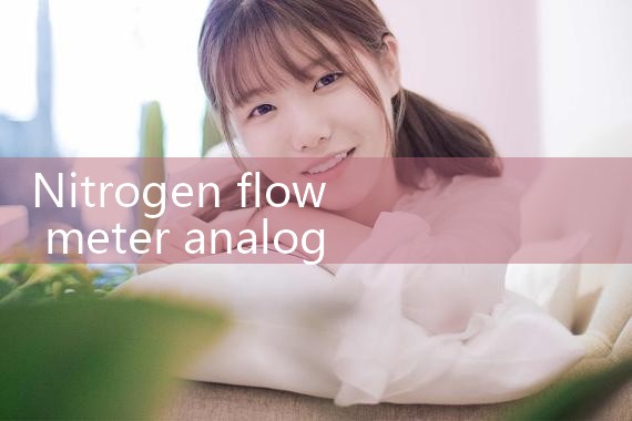 nitrogen flow meter analog output|flow meter distributor