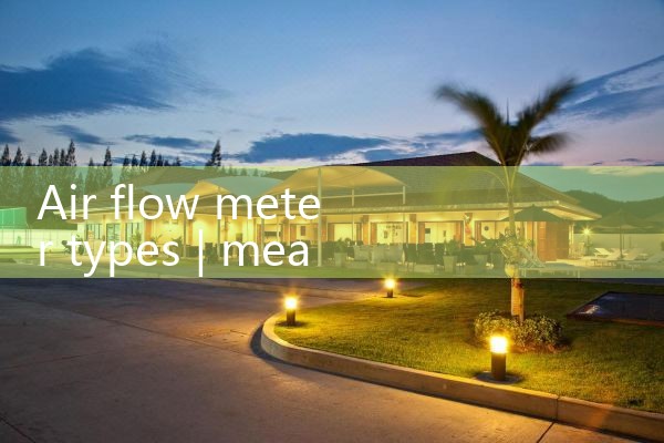 air flow meter types|rotameter flow meter