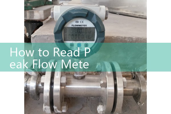 How to Read Peak Flow Meter Results: Interpreting Height and Age Baseline Vital Charts