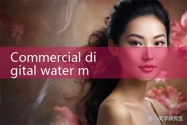 commercial digital water meter|digital flow meter