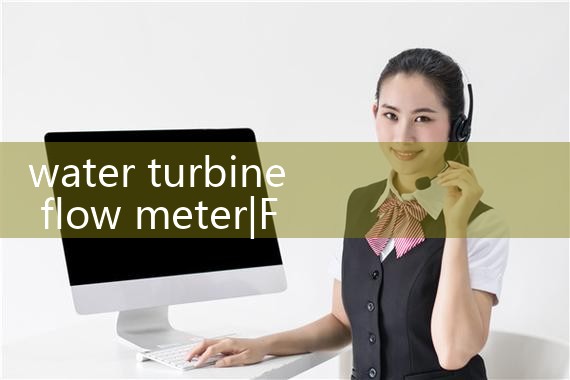 water turbine flow meter|mass flow meter