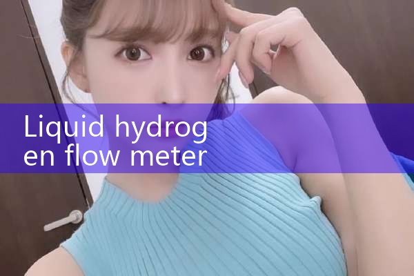 inline flow meter|digital flow meter
