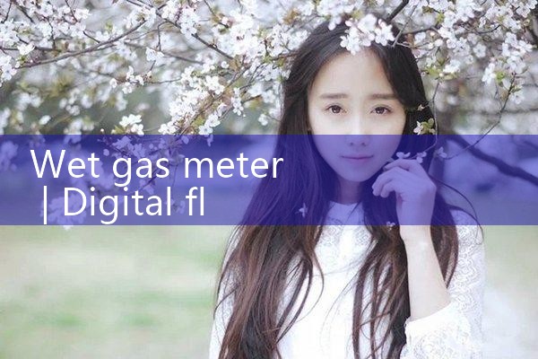 wet gas meter|digital flow meter
