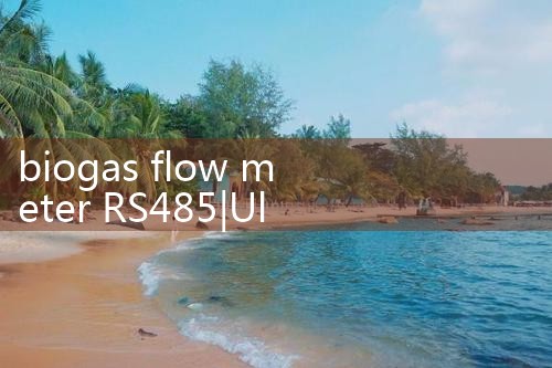 biogas flow meter RS485|flow meter distributor