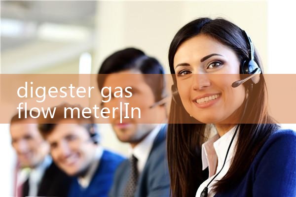 vortex flow meter for steam|balo meter