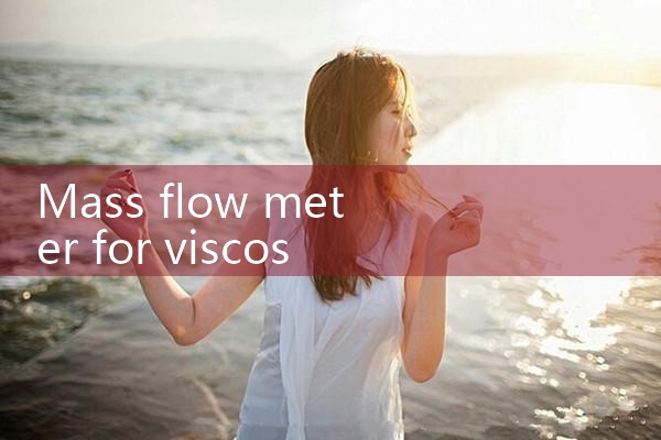 mass flow meter for viscous liquids|rotameter flow meter