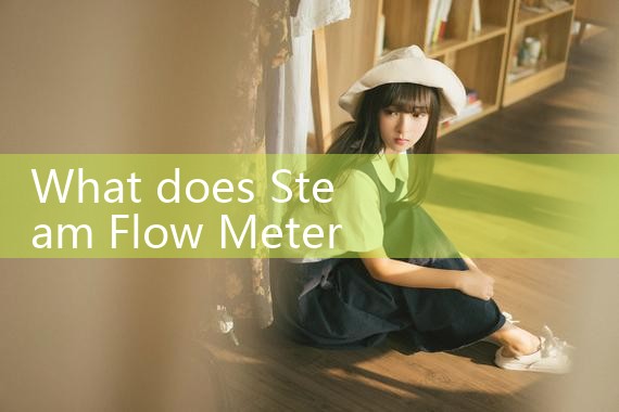 steam flow meter types|rotameter flow meter