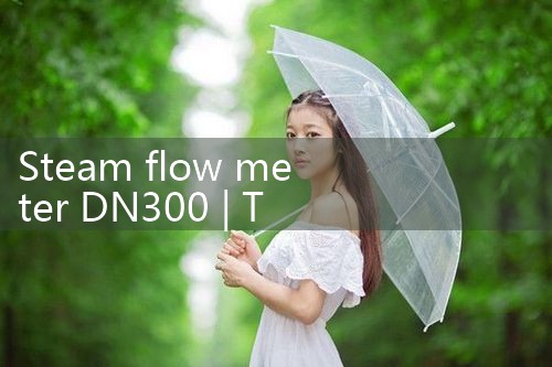 steam flow meter DN300|balo meter