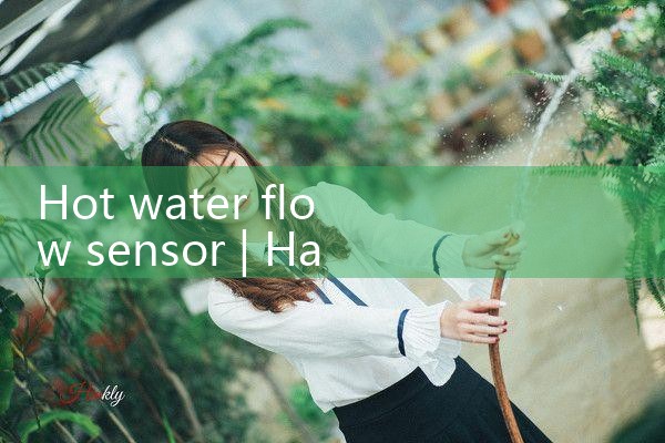 hot water flow sensor|balo meter
